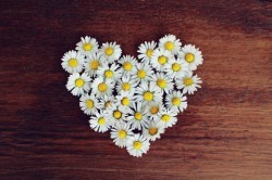 Online Support Group for Parents Bereaved of a Baby or Very Young Child (up to 4 years)