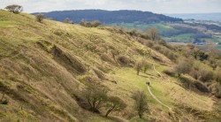 Crickley Hill Country Park Walk
