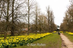 Nowton Park Walk