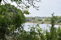 Preston Dock & River Ribble Walk