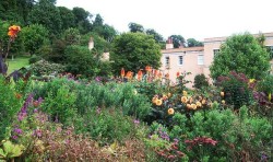 Killerton, Devon Walk