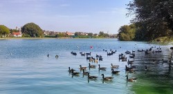 St Annes and Fairhaven Lake Walk