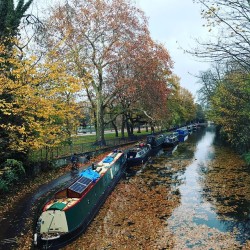 Regents Canal and Park Walk