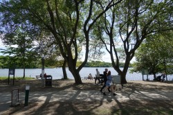 Pennington Flash Walk
