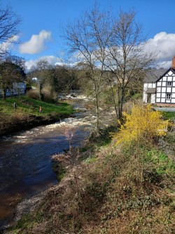 Berriew Walk