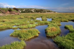 SAVE THE DATE - Beccles Marshes Walk