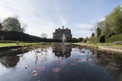 50th Anniversary Supportive Gathering - fully booked