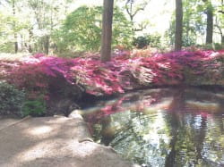 The Richmond Circular Walk