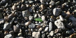 The Hidden Gems Walk - for bereaved parents