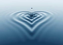 Bereavement Support Day - Hampshire