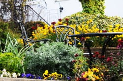 North East England Supportive Weekend for parents, grandparents and siblings: POSTPONED to 2021