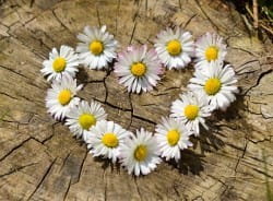 Bereavement Support Day - Hampshire