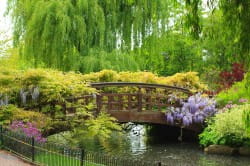 London Walk - Richmond
