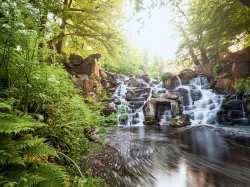 Virginia Water and Windsor Great Park Walk