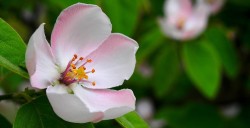 Online Support Group for Parents Bereaved of a School Age Child (4-16)