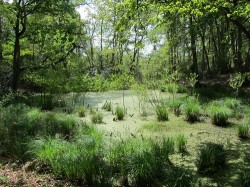 Great Eastern Pingo Trail Walk