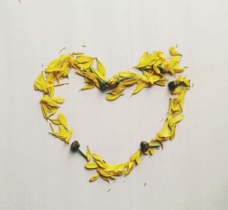 Online Support Group for Parents Bereaved in the Last Three Years