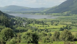 Whimsical Whinlatter Walk