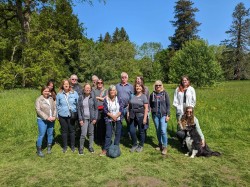 Nowton Park Walk