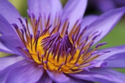 Online Support Group for Parents Bereaved by Substance or Alcohol Use