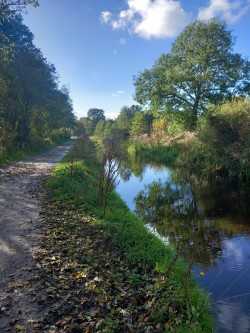 Montgomery Canal – Queens Head Walk