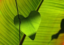 Online Support Group for Parents Bereaved by a Road Traffic Incident