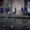 Walking and talking...<br/><a href="gallery/weekend-retreat-january-2017/15/add/#comments">Add comment</a>