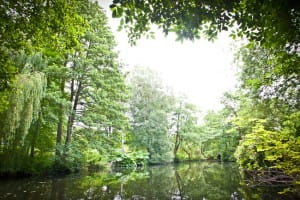 Woodbrooke garden